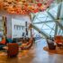 Get free meals and drinks! Find out how to use your Precedence Cross restaurant credit at US airports