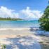 Rating Delta flights to Cancun for as little as $202