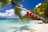 The right way to give the reward of journey: From utilizing factors and miles to reserving a cruise deal