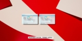 Amex EveryDay vs. Amex EveryDay Most popular: Which must be in your pockets?