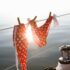 15 Romantic Issues To Do in Bathtub