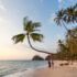 Amex Membership Rewards switch companions: What to know