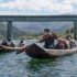 Grow to be a Home-sitter in France