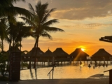 The way to get your fourth or fifth night time free on resort award stays