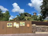 Tiana’s Bayou Journey opening in June at Walt Disney World